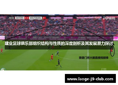 建业足球俱乐部组织结构与性质的深度剖析及其发展潜力探讨