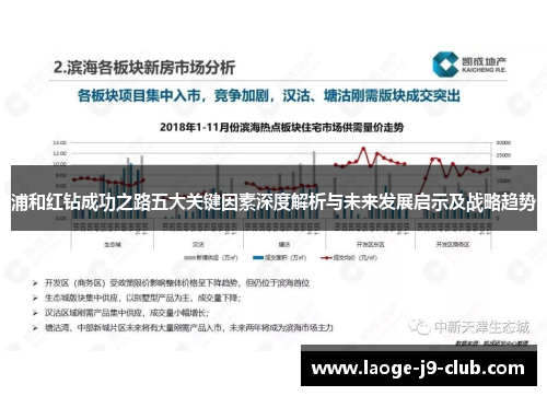 浦和红钻成功之路五大关键因素深度解析与未来发展启示及战略趋势